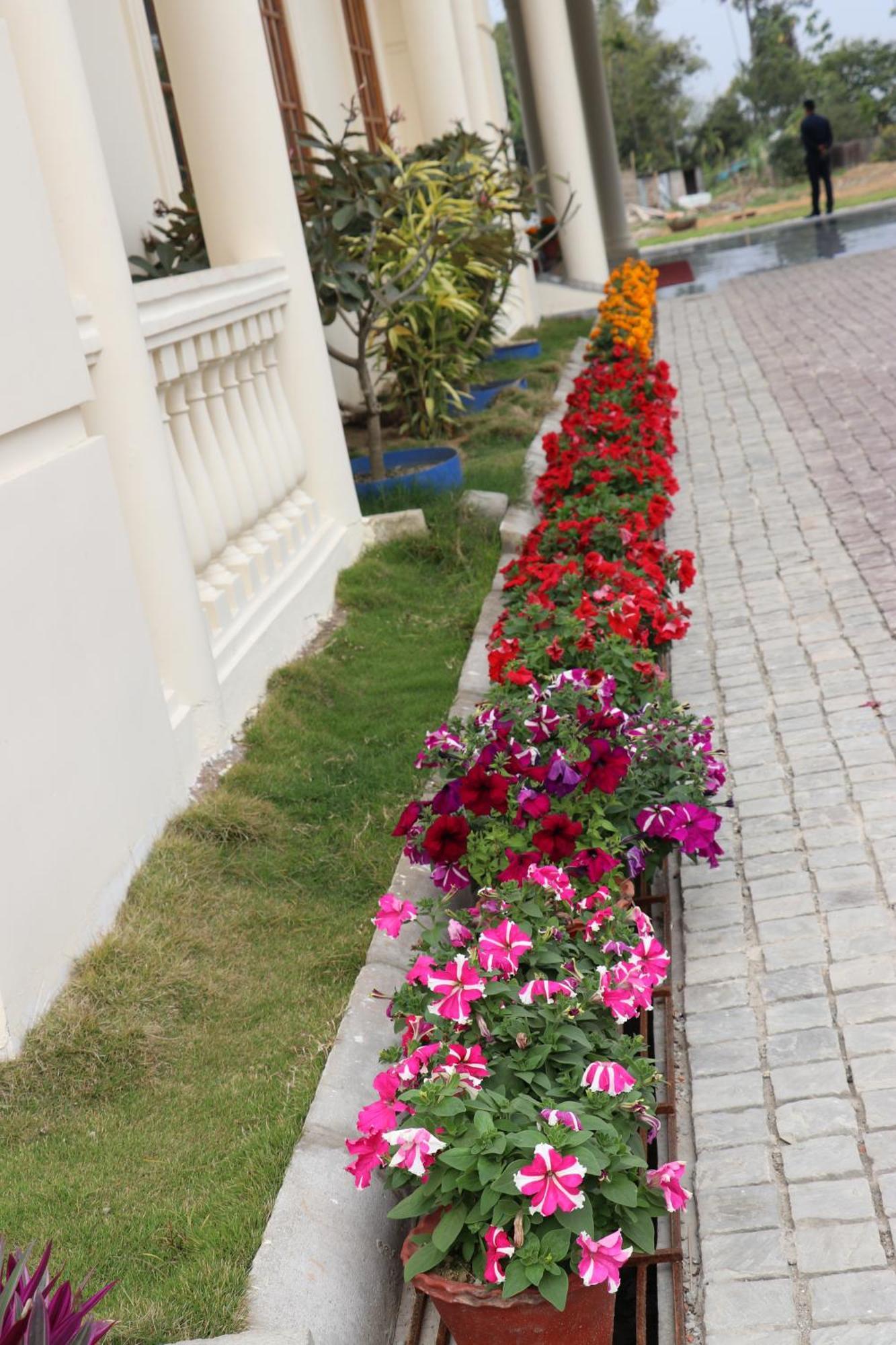 Royale De' Casa Resort Казиранга Экстерьер фото